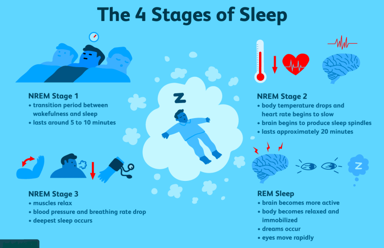 What Happens During Sleep?